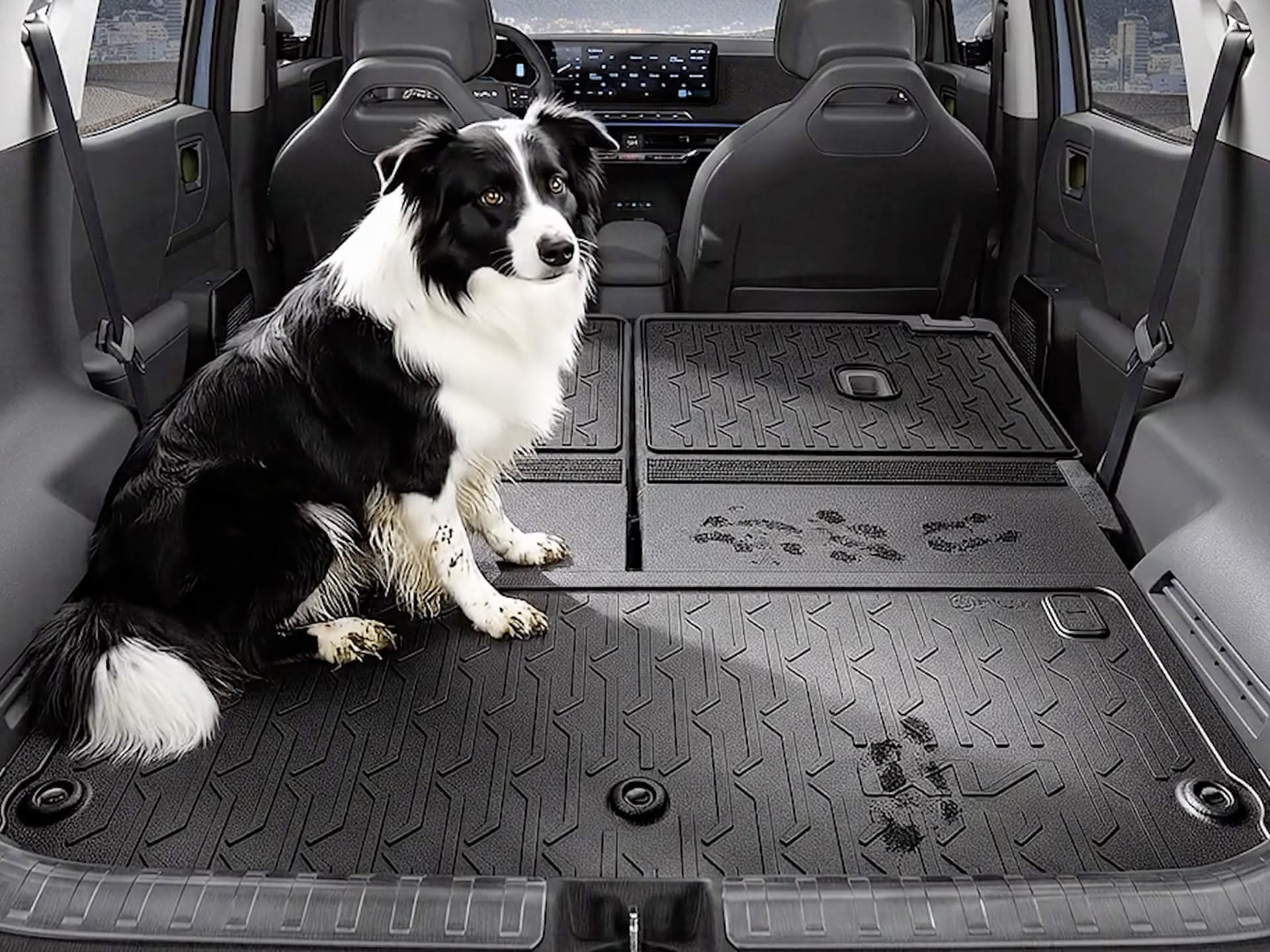 Perro sentado en el maletero abierto con alfombrillas protectoras y asientos traseros abatidos