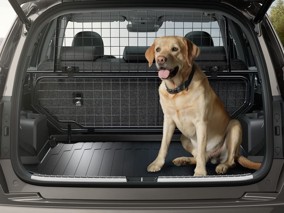Labrador sentado en el maletero de un coche gris oscuro con alfombrilla protectora y rejilla de seguridad